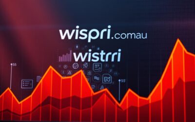 Maximizing Profits Through Price Optimization | Visit Wispri